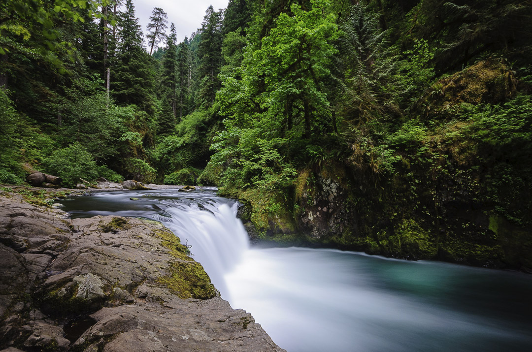 Explore the Pacific Northwest